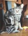 Thumbs/tn_Sterne 018.jpg